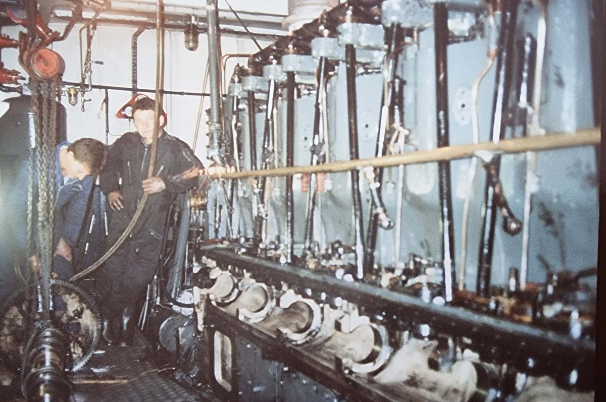 Imagen de Capitol 5 - 1990